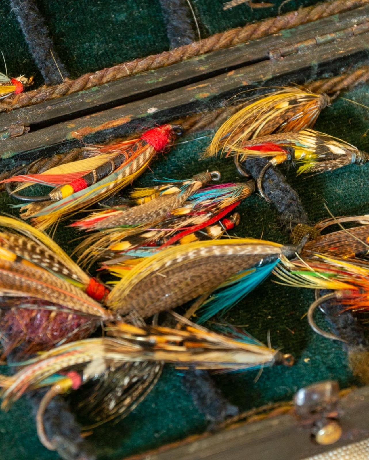 Fish Collectability Cased Fish & Antique Fishing Memorabilia – The Old Courthouse, Greyabbey