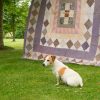 19th Century North Country Framed Quilt - Image 4