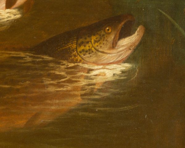 Roland Knight - Oil Painting, 'Three Brown Trout' - Image 7