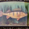 A Cased Perch