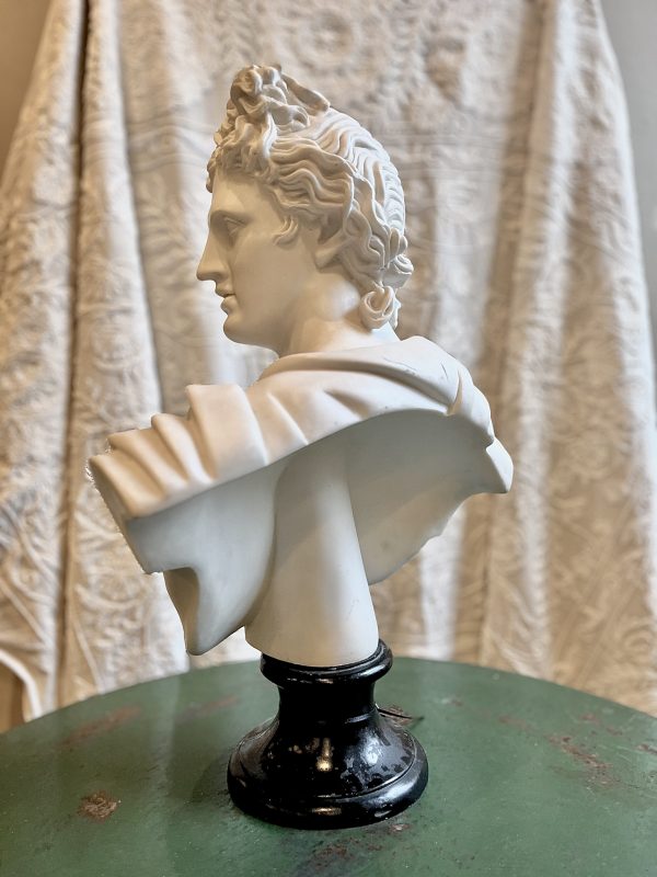 Bust of Apollo Head - Image 4