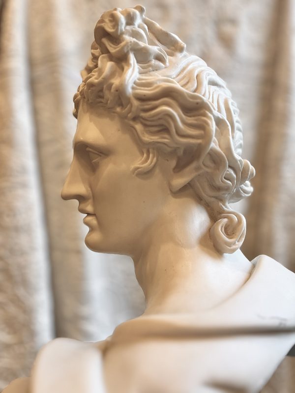 Bust of Apollo Head - Image 5