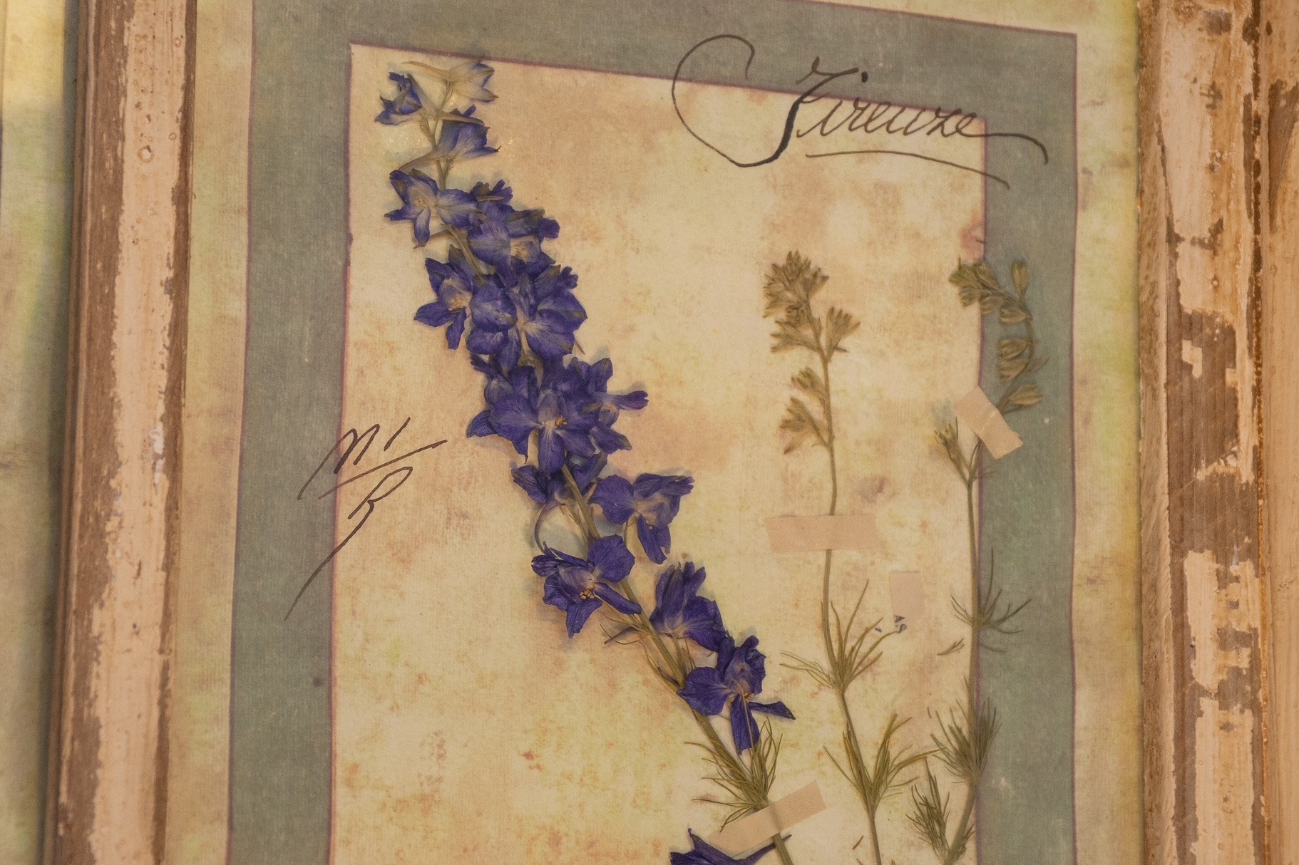 A Rare Pair of Italian Herbanium Panels, 1913 - Image 2