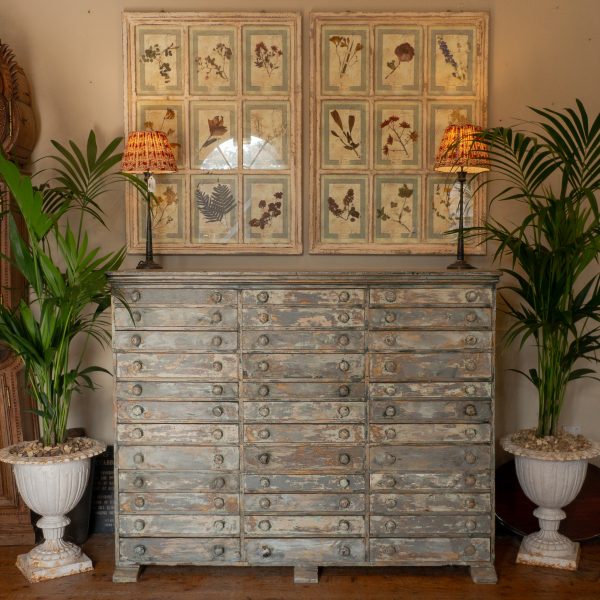 A Rare Pair of Italian Herbanium Panels, 1913